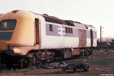 Photo of 975813